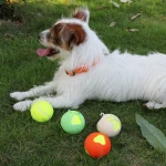 Custom Interactive & Movement 5cm Tennis Ball Sleeve Pet Toy Durable Chewing Toy with Ball Holder Strap for Dog Training