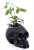 Import Custom resin geek style designed high glossy skull vase from China