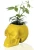 Import Custom resin geek style designed high glossy skull vase from China