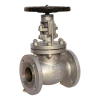 DEBIEN 304 316 American standard BS1873 cast steel globe valve