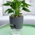 Import Decor Table Indoor Plastic Garden Self Watering Plant Planter Flower Pots from China