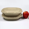 degradable disposable ,Stocked,Eco-Friendly Feature compartment biodegradable tray