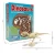 Import dinosaur toys 2022 popular kids STEM toys archaeological dig kit dinosaur fossils educational supplies other educational toy from China