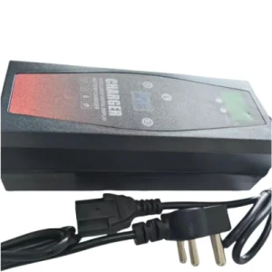 Direct Selling Popular/ 48V 45ah /E-Bike Automatic Universal/Lead Acid Lithium /Battery Charger