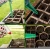 Import DIY Biodegradable Seedling Starter Kit  Peat Pots Trays Gardening Seeder Dibbers T-markers Humidity Dome Base Germination Trays from China