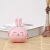Import Dongsheng rabbit series coin purse from China