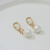 Double Circle Beaded Pearl Brass Gold Earrings Natural  Pearl Earrings Hoops Round Minimalist Earrings 2021 Trendy