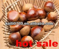 Driect factory 2013 new crop chestnuts for raw jute buyer with good price
