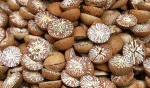 Dried Betel Nuts, Betel Nuts Whole and Split