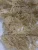 Import Dried irish moss/ sea moss clean - no salt from China