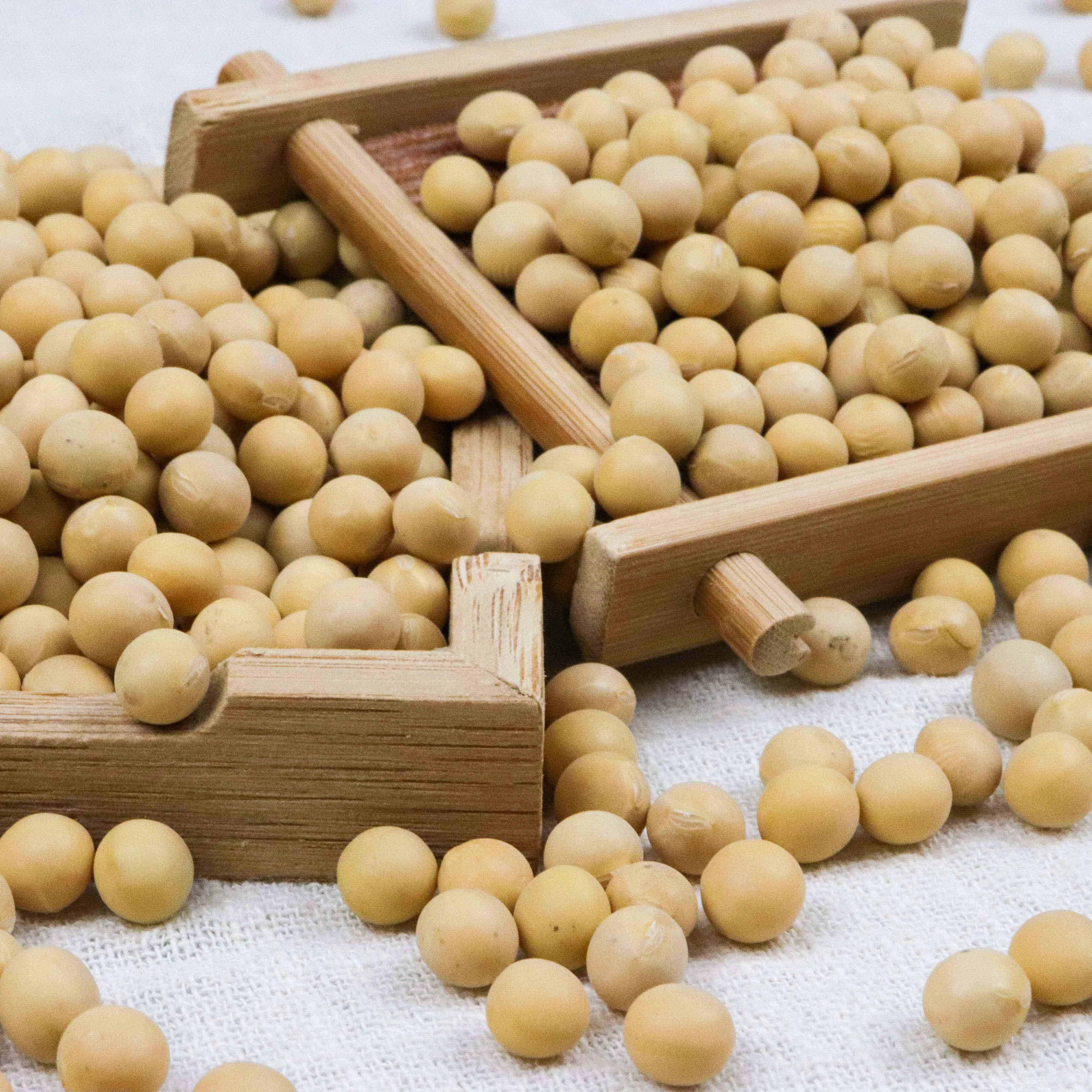 Eastern asia produced organic soybean used for extracting soybean oil