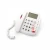 Import EbayHigh Quality Jumbo Button Telephone with Blue Back-Light and Amplified Speakerphone Function from China