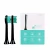 Import Eco Friendly Home Use  Portable  Electric Toothbrush Brush Heads For IVISMILE from China