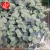Import Economic hot selling hot new leaf dried artificial flower from China