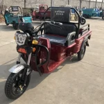 Electric Tricycle Factorythree wheel electric Scooter Foldable AdultPassenger electric cargo bike Rickshaw Electric Tricycle