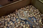 Espresso JAVA KENYA AAA COFFEE BEANS BULK WHOLESALE