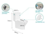 European Style Good Quality Bath Ware Side Push Button Two Piece Toilet Bowl