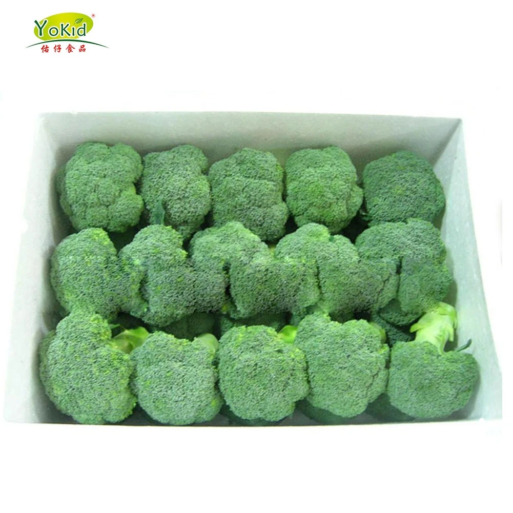 Export Wholesale High Quality Organic Chinese Green Broccoli
