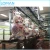 Import Factory Best Quality cold room for beef meat chicken frozen from China