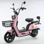 Factory directly supply  48v 20ah 2 Seats E Bike Electric Bicycle With Led Light E-Bicycle
