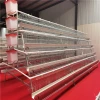 Factory supplier H type poultry cage battery layer chicken cage for sale