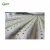 Import Factory Wholesale Agricultural perforated plastic mulch film white from China