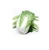 Import Fresh Celery Cabbage ,CELERY CABBAGE,New harvest fresh celery cabbage from South Africa