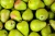 Import Fresh early su pear with best price by whole sale. Great Price from South Africa