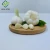 Import fresh garlic from south africa from China