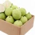 Import Fresh Guava from Vietnam