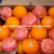 Import fresh navel orange from China