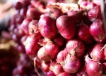 Fresh Onion/ Fresh Shallot