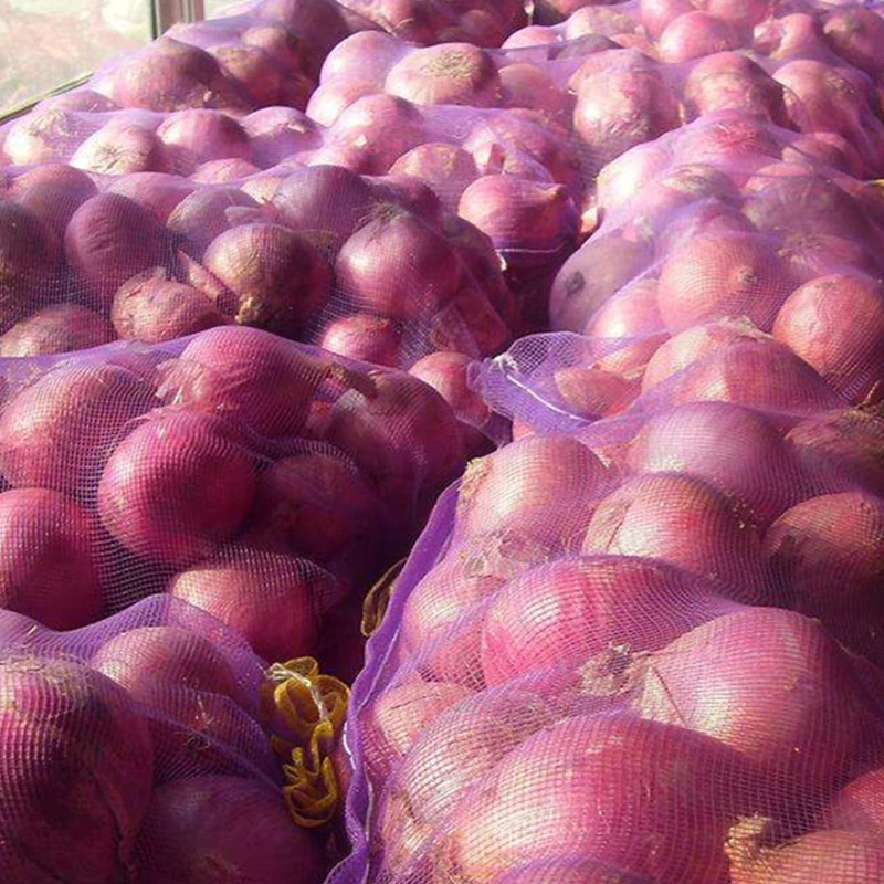 Fresh Onions Red, white yellow/Golden onion cheap price Fresh organic Egypt onion All sizes Available Mesh Bags