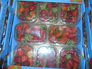 fresh organic strawberry