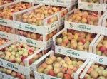 Fresh Passion Fruit High Quality From Turkey