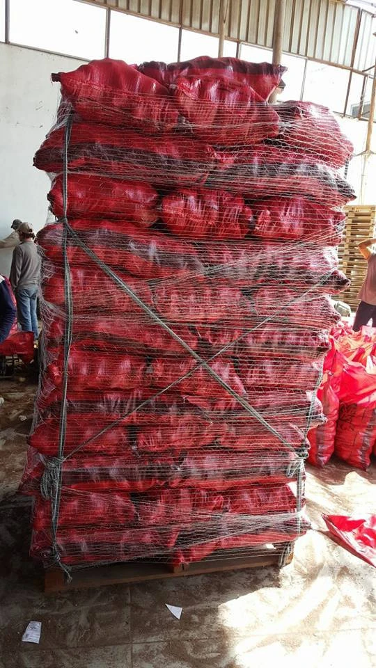 Fresh Potatoes , Spunta , Rozetta , Kara , Fresh crop for saleready to export