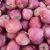 Import Fresh red delicious apple products from China