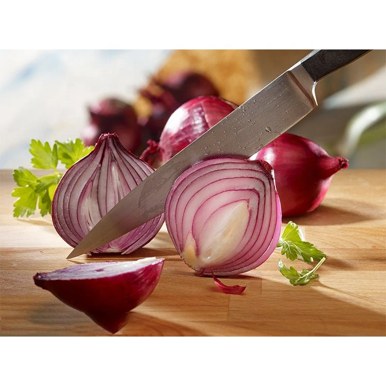 Fresh red onion price/new crop harvest