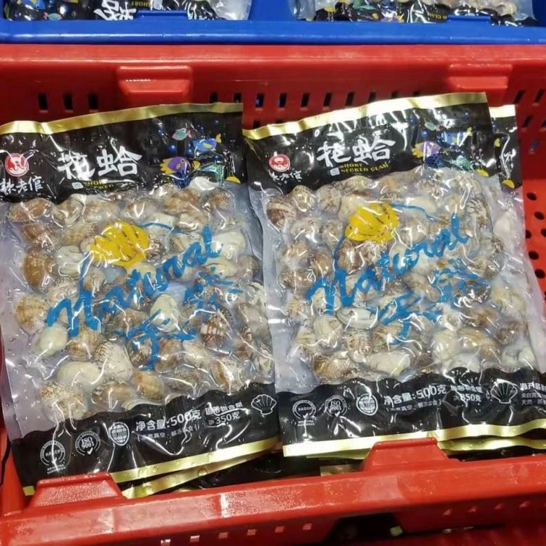 Fresh Seafood Wholesale In China Frozen Shell Clam Export Food