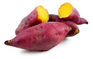 Fresh Sweet Potato Export Standard & High Quality