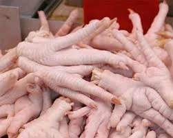 Frozen Chicken Feet, Paws, Wings, Legs, Gizzards, Whole Sale Cheap Price