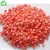 Import Frozen Fresh Cherry Tomatoes Price from China