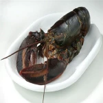 Frozen Green Lobster