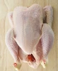 Frozen Halal Grade Whole chicken Meat , Chicken Wings , Chicken feett (Grade 1)