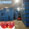 fruit and vegetable cold room