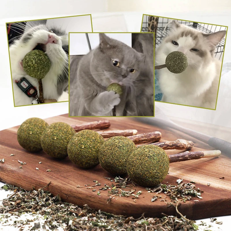Funny original catnip trrth cleaning mint stick toy with sisal hemp fish ball or mouse cat toys factory hot sales
