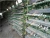 Import galvanized A type layer quail cages for sale in Kenya farm from China
