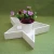 Import Good price Trade assurance unique wooden personalized star heart shaped flower pot decorative wood flower trays from China