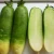 Import Good Quality Delicious Sweet Fresh Green Radish from China