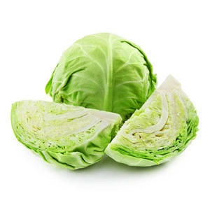 Grade A Fresh Green and Purple Cabbage
